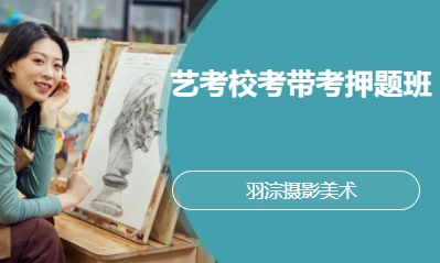 艺考校考带考押题班