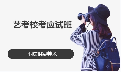 艺考校考应试班