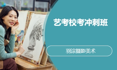 艺考校考冲刺班